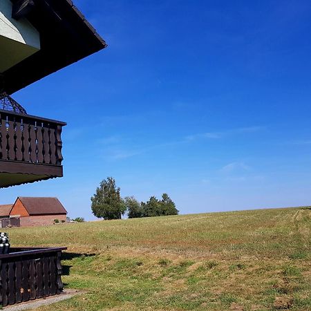 Geishoehe Landgasthof Rose Dammbach Номер фото