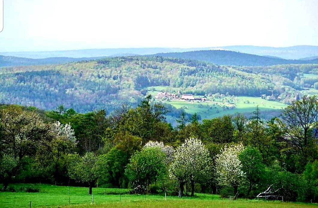 Geishoehe Landgasthof Rose Dammbach Экстерьер фото