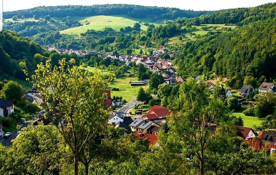 Geishoehe Landgasthof Rose Dammbach Экстерьер фото