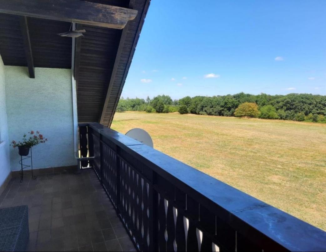 Geishoehe Landgasthof Rose Dammbach Номер фото